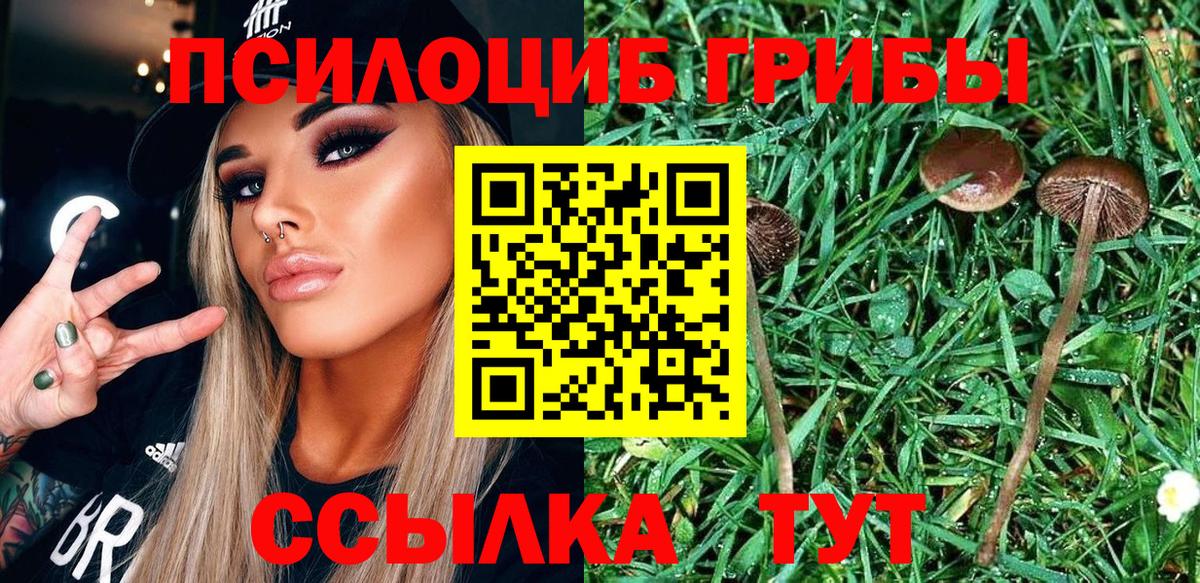 Псилоцибиновые грибы Magic Shrooms  Вход с VPN  Алушта 