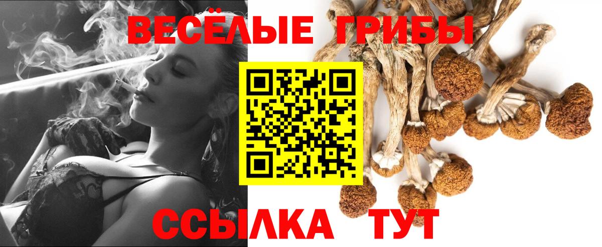 Галлюциногенные грибы MAGIC MUSHROOMS Алушта